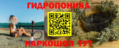 гашик Кандалакша